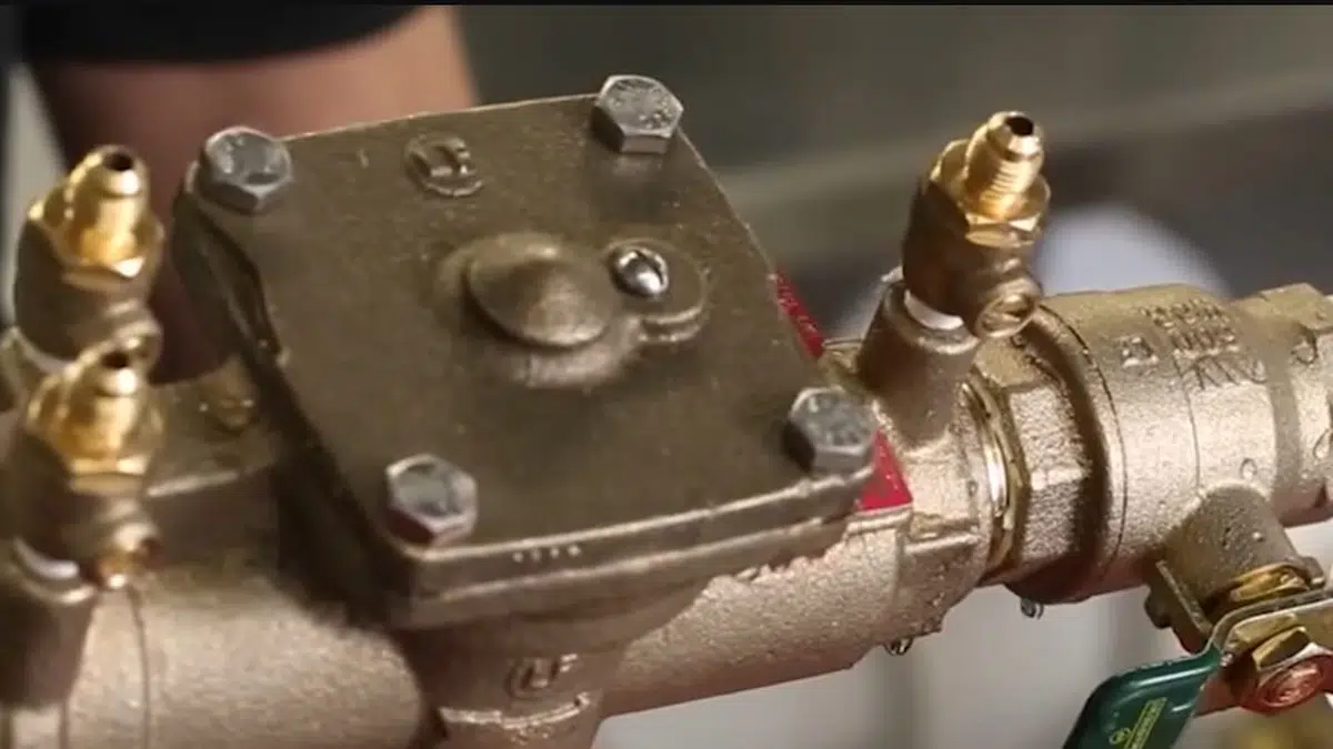 Backflow preventer assembly with test valves and gauge connections related to Backflow device on a Monrovia irrigation line