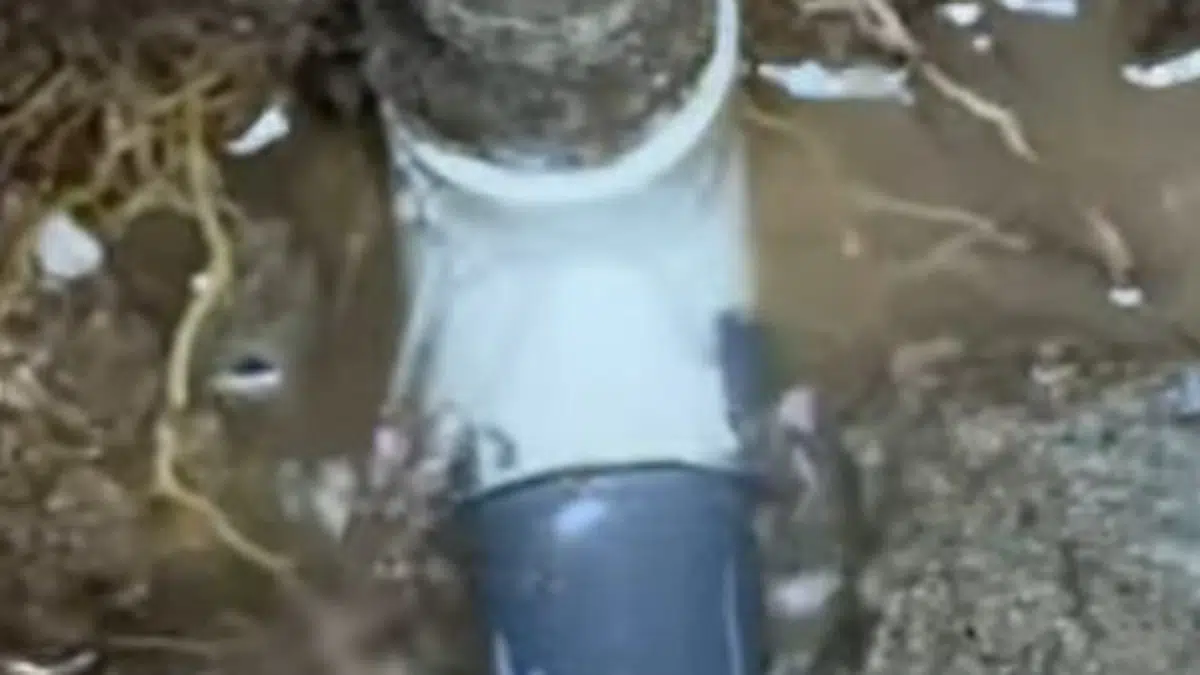 Concrete floor or slab opened to expose leaking plumbing below related to Slab leak detection under a Monrovia home