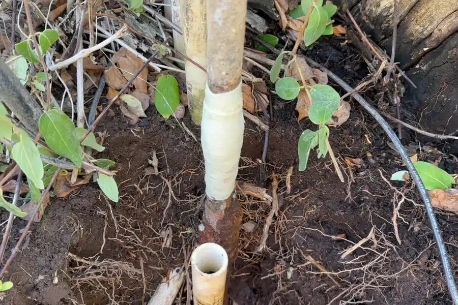 Exterior water service line repair with pipe exposed in soil related to Historic Aztec Hotel landmark on Foothill Boulevard