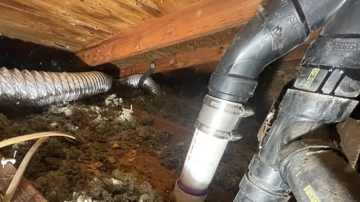 Crawlspace plumbing with drain and supply lines below the floor related to Plumber serving a Sierra Madre home